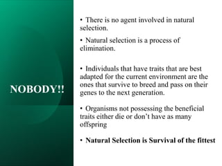 NOBODY!!
• There is no agent involved in natural
selection.
• Natural selection is a process of
elimination.
• Individuals that have traits that are best
adapted for the current environment are the
ones that survive to breed and pass on their
genes to the next generation.
• Organisms not possessing the beneficial
traits either die or don’t have as many
offspring
• Natural Selection is Survival of the fittest
 