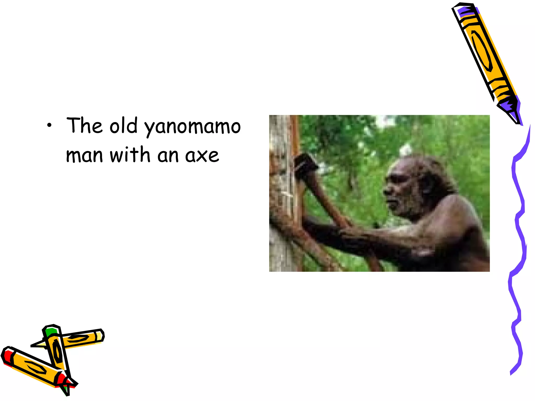 • The old yanomamo
  man with an axe
 