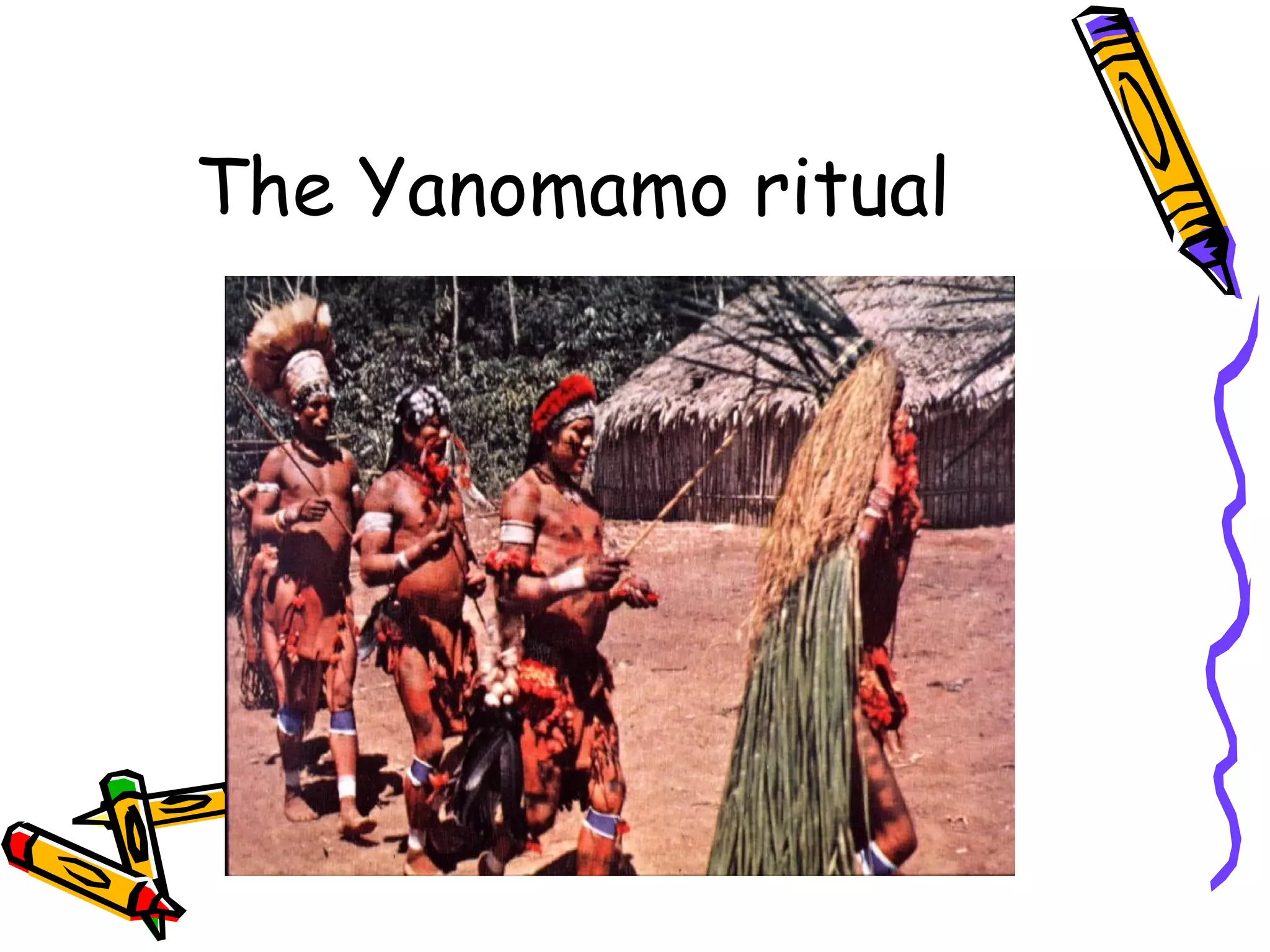 The Yanomamo ritual
 