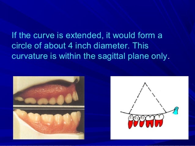 curve of spee