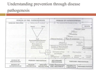 Understanding prevention through disease
pathogenesis
 