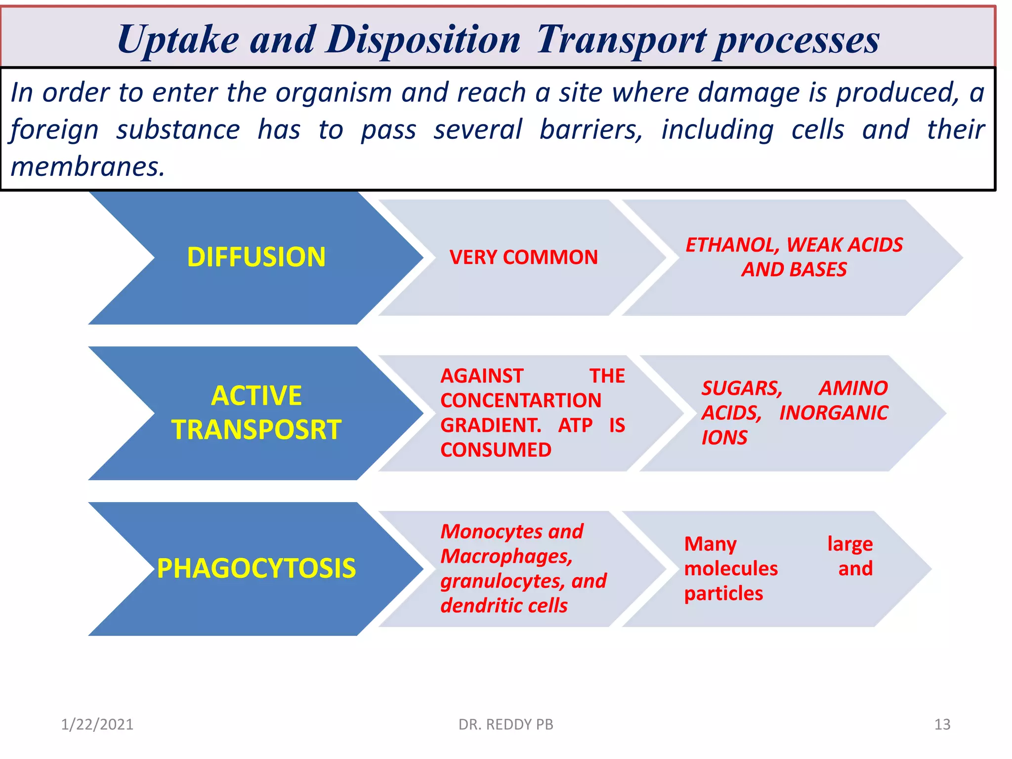1/22/2021 DR. REDDY PB 13
Uptake and Disposition Transport processes
DIFFUSION VERY COMMON
ETHANOL, WEAK ACIDS
AND BASES
ACTIVE
TRANSPOSRT
AGAINST THE
CONCENTARTION
GRADIENT. ATP IS
CONSUMED
SUGARS, AMINO
ACIDS, INORGANIC
IONS
PHAGOCYTOSIS
Monocytes and
Macrophages,
granulocytes, and
dendritic cells
Many large
molecules and
particles
In order to enter the organism and reach a site where damage is produced, a
foreign substance has to pass several barriers, including cells and their
membranes.
 