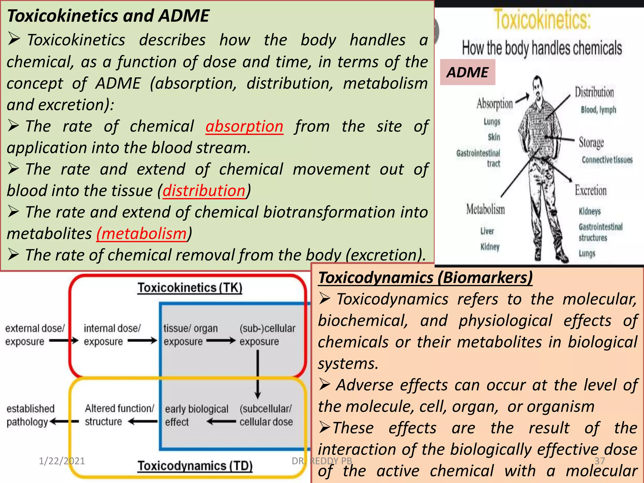 Toxicokinetics and ADME
 Toxicokinetics describes how the body handles a
chemical, as a function of dose and time, in terms of the
concept of ADME (absorption, distribution, metabolism
and excretion):
 The rate of chemical absorption from the site of
application into the blood stream.
 The rate and extend of chemical movement out of
blood into the tissue (distribution)
 The rate and extend of chemical biotransformation into
metabolites (metabolism)
 The rate of chemical removal from the body (excretion).
Toxicodynamics (Biomarkers)
 Toxicodynamics refers to the molecular,
biochemical, and physiological effects of
chemicals or their metabolites in biological
systems.
 Adverse effects can occur at the level of
the molecule, cell, organ, or organism
These effects are the result of the
interaction of the biologically effective dose
of the active chemical with a molecular
ADME
1/22/2021 DR. REDDY PB 37
 
