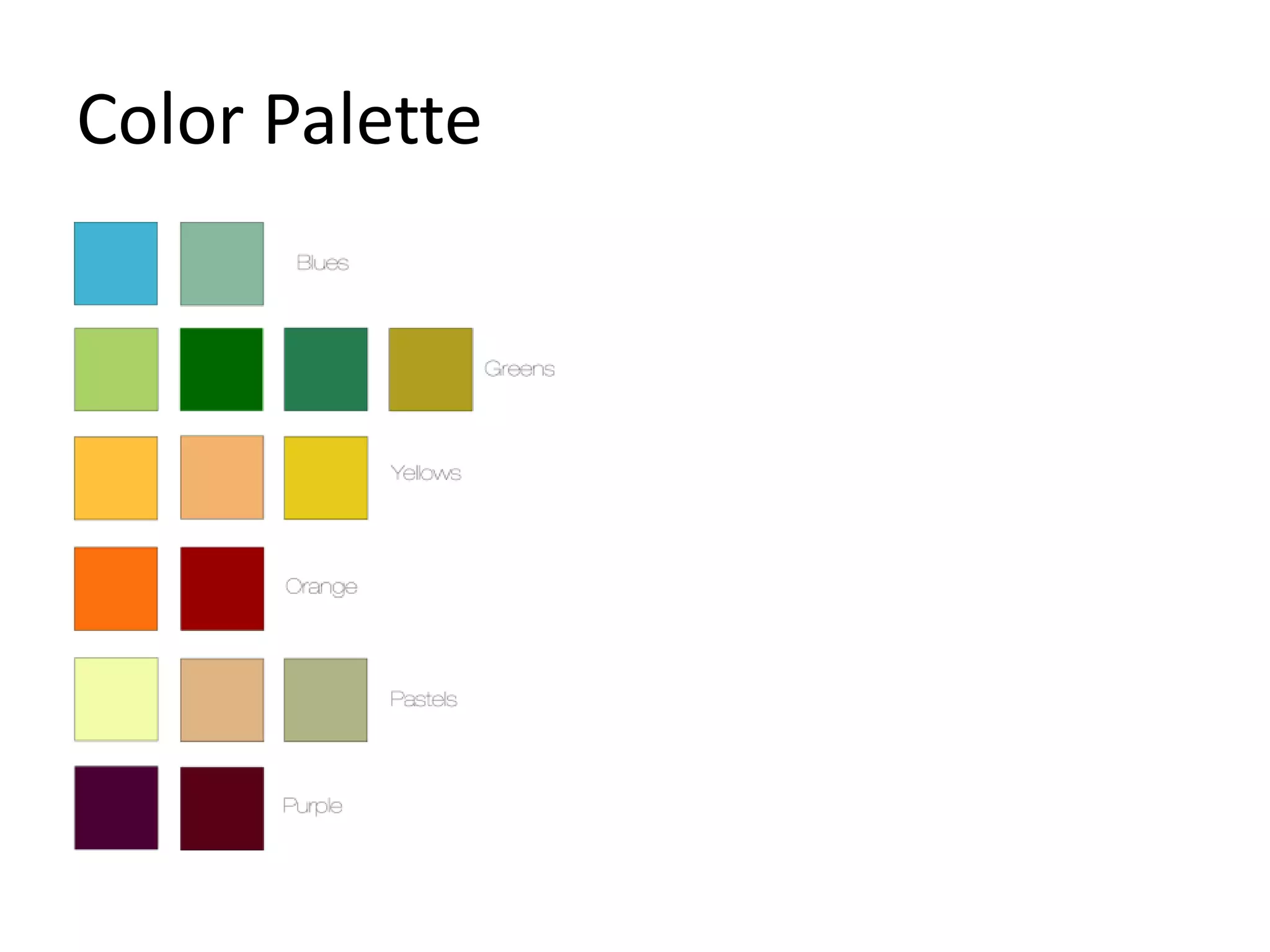 Color Palette 
 