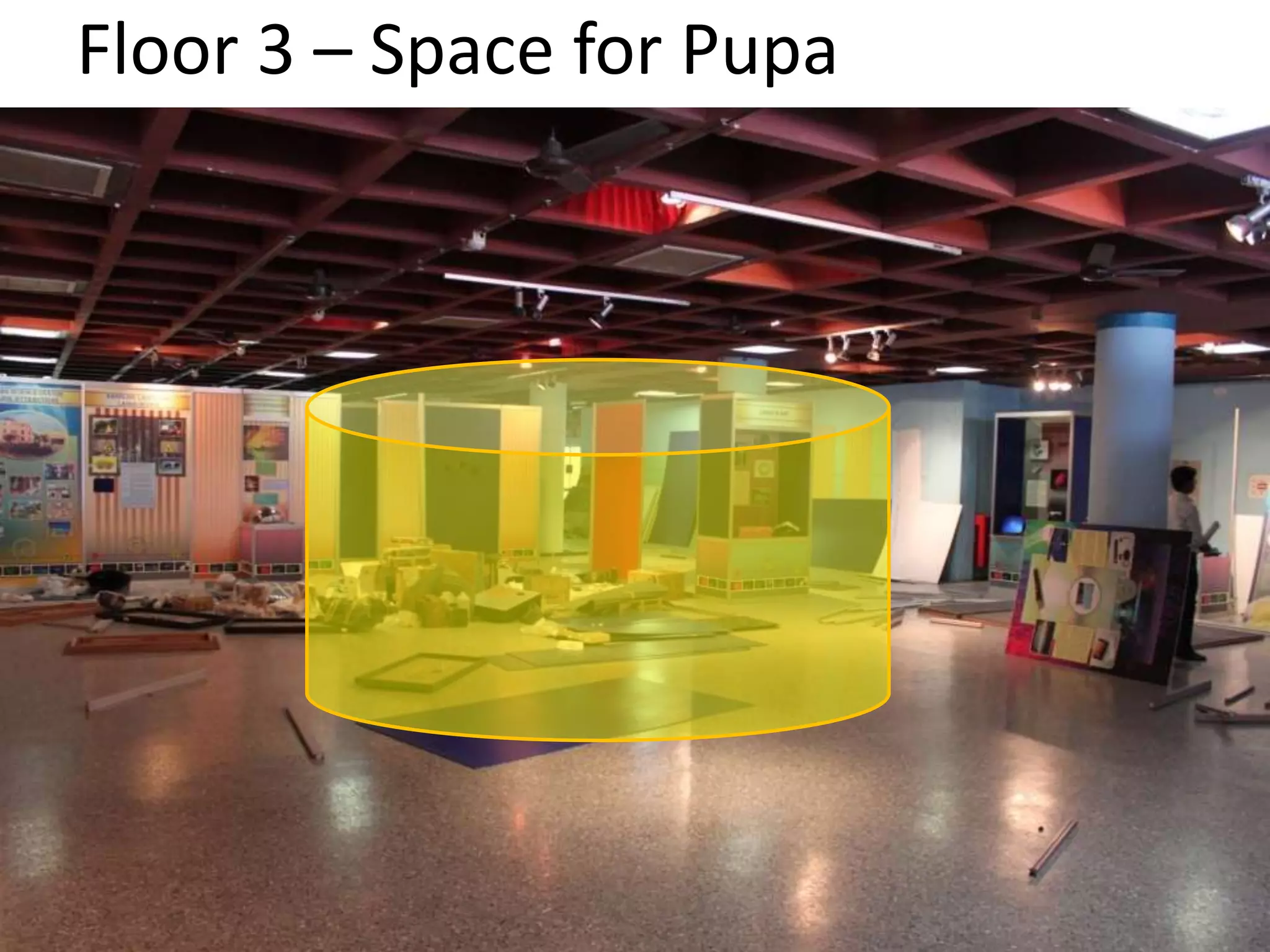 Floor 3 – Space for Pupa 
 