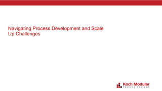 Navigating Process Development and Scale
Up Challenges
 