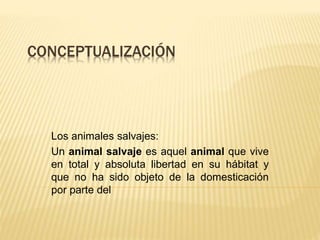 CONCEPTUALIZACIÓN
Los animales salvajes:
Un animal salvaje es aquel animal que vive
en total y absoluta libertad en su hábitat y
que no ha sido objeto de la domesticación
por parte del
 