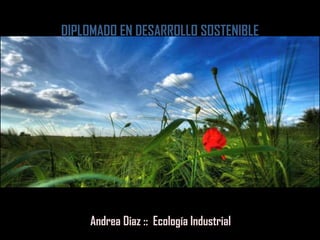 DIPLOMADO EN DESARROLLO SOSTENIBLE
Andrea Diaz :: Ecología Industrial
 