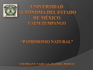 universidad autónoma del estado de MéxicoUAEM ZUMPANGO“PATRIMONIO NATURAL”STEPHANY VARGAS, DANIEL PONCE 