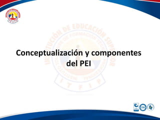 Conceptualización y componentes
del PEI
 