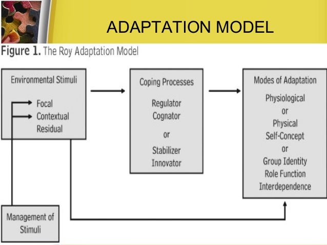 theories to nursing practice 7 by models Conceptual