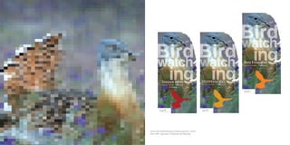 what_Flyers Birdwatching (cortante especial e cunho)
client_LPN, Liga para a Protecção da Natureza
 