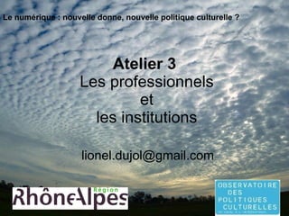 Atelier 3   Les professionnels  et  les institutions [email_address] Le numérique : nouvelle donne, nouvelle politique culturelle ? 