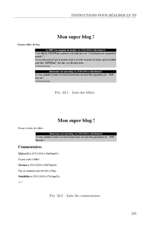 INSTRUCTIONS POUR RÉALISER LE TP

Fig. 22.1 – Liste des billets

Fig. 22.2 – Liste des commentaires

245

 