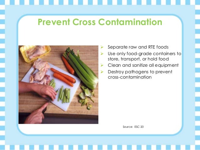 How To Hold And Store Food To Prevent Bacteria How To Hold And Store Food To Prevent Bacteria