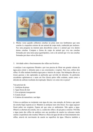 2. Muitas vezes quando colhemos conchas na praia nem nos lembramos que uma
concha é o esqueleto externo de um animal de corpo mole, conhecido por molusco.
Faz uma pesquisa na internet para descobrires como é o animal que vive dentro
destas conchas. Compara a forma do corpo do animal que vive nas conchas
formadas por uma única peça (gastrópodes), com a do animal que vive nas conchas
formadas por duas valvas (bivalve).
3. Atividade sobre o funcionamento dos sifões nos bivalves.
A amêijoa é um organismo filtrador e por isso precisa de filtrar um grande volume de
água para extrair o alimento para o seu crescimento e respirar. Para isso, utiliza dois
sifões. O sifão inalante bombeia água para o interior do corpo. Nas brânquias dão-se as
trocas gasosas e são capturadas as partículas que servirão de alimento. As partículas
excedentes aglutinam-se e saem em fios (fezes) pelos sifão exalante, assim como o
dióxido de carbono resultante da respiração. Queres ver como isto se passa?
Vais precisar de:
1. Amêijoas da praça
2. Àgua fresca do mar
3. Um recipiente transparente
4. Canela em pó
4. Caderno de naturalista e um lápis
Coloca as amêijoas no recipiente com água do mar, mas atenção, de forma a que parte
da concha fique exposta ao ar. Mantém as amêijoas num sítio fresco. Se a água aquecer
ficará pobre em oxigénio. Espera até que estas se ambientem. Não agites a água.
Observa a abertura da concha, isto é, a saída dos sifões e do pé para o exterior. Polvilha
a água junto dos sifões da amêijoa com uns pozinhos de canela (se colocares muita
canela a experiência não resulta). Observa o fluxo de água devido ao funcionamento dos
sifões, através do movimento da canela na superfície da água. Observa também a
 