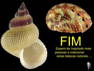 FIM Espero ter inspirado mais pessoas a colecionar estas belezas naturais…. 