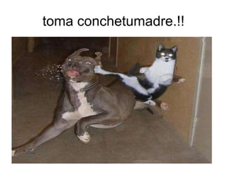 toma conchetumadre.!! 