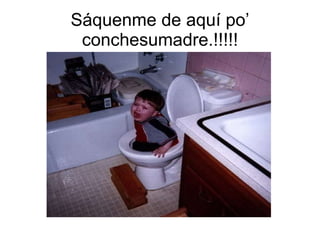 Sáquenme de aquí po’ conchesumadre.!!!!! 