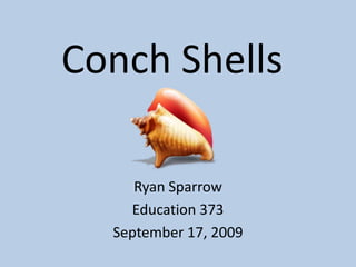 Conch Shells Ryan Sparrow Education 373 September 17, 2009 