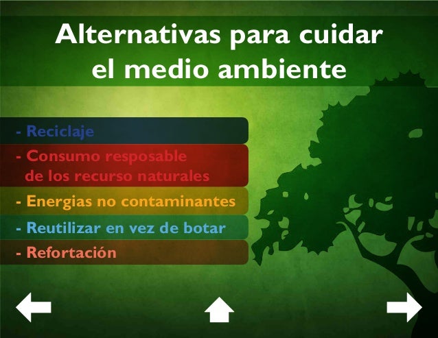 Alternativas Para Cuidar El Medio Ambiente Mobile Legends