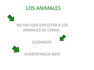 LOS ANIMALES
NO HAY QUE EXPLOTAR A LOS
ANIMALES DE CARGA..
CUIDARLOS
ALIMENTARLOS BIEN