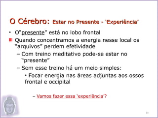 O Cérebro:      Estar no Presente - ‘Experiência’
• O“presente” está no lobo frontal
  Quando concentramos a energia nesse local os
  “arquivos” perdem efetividade
   – Com treino meditativo pode-se estar no
     “presente”
   – Sem esse treino há um meio simples:
      • Focar energia nas áreas adjuntas aos ossos
      frontal e occipital

        – Vamos fazer essa ‘experiência’?


                                                     14
 