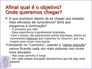 Afinal qual é o objetivo?
Onde queremos chegar?
  O que acontece depois de se chegar aos estados
  mais elevados de consciência? Será que
  chegamos à iluminação?
  – É provável que não!
  - Essa experiência é geralmente localizada
  -Com o tempo vão aparecendo outros estresses, dentre as
  inumeráveis dislexias que trazemos no ‘arquivo’, que nos
  trazem para níveis mais baixos
Andando no “Caminho”, usando a “plena atenção”
 vamos ficando cada vez mais estáveis nos níveis
 mais elevados
  - Mas esse caminho é longo
  - Em cada estado almejado descobrimos que há algo mais
  adiante
                                                         30
 