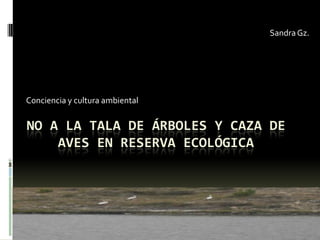 Sandra Gz. Conciencia y cultura ambiental No a la tala de árboles y caza de aves en reserva ecológica   