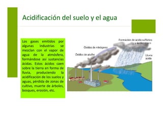 Los gases emitidos por
algunas industrias se
mezclan con el vapor de
agua de la atmósfera,
formándose así sustancias
ácidas. Estos ácidos caen
sobre la tierra en forma de
lluvia, produciendo la
acidificación de los suelos y
aguas, pérdida de zonas de
cultivo, muerte de árboles,
bosques, erosión, etc.
Acidificación del suelo y el agua
 