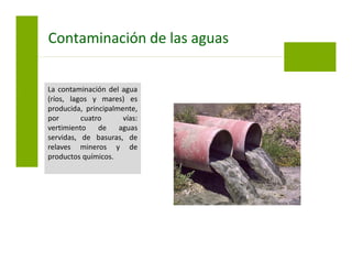 La contaminación del agua
(ríos, lagos y mares) es
producida, principalmente,
por cuatro vías:
vertimiento de aguas
servidas, de basuras, de
relaves mineros y de
productos químicos.
Contaminación de las aguas
 