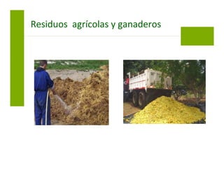 Residuos agrícolas y ganaderos
 