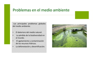 Los principales problemas globales
del medio ambiente:
• El deterioro del medio natural.
• La pérdida de la biodiversidad en
el mundo.
• El agotamiento y contaminación
de los recursos hídricos.
• La deforestación y desertificación.
Problemas en el medio ambiente
 