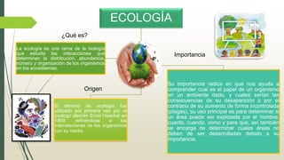ECOLOGÍA
El término de ecología fue
utilizado por primera vez por el
zoólogo alemán Ernst Haeckel en
1869, refiriéndose a las
interrelaciones de los organismos
con su medio.
Su importancia radica en que nos ayuda a
comprender cual es el papel de un organismo
en un ambiente dado, y cuales serían las
consecuencias de su desaparición o por el
contrario de su aumento de forma incontrolada
(plagas), su uso principal es para determinar si
un área puede ser explotada por el hombre,
cuanto, cuando, como y para que, así también
se encarga de determinar cuales áreas no
deben de ser desarrolladas debido a su
importancia.
La ecología es una rama de la biología
que estudia las interacciones que
determinan la distribución, abundancia,
número y organización de los organismos
en los ecosistemas.
¿Qué es?
Origen
Importancia
 