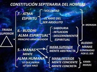 CONSTITUCIÓN SEPTENARIA DEL HOMBRE
                              - VOLUNTAD
           7.- ATMA
              ESPÍRITU        - EL RAYO DEL
                              SER ABSOLUTO
                                                           MONADA
                                    - SABIDURIA
 TRIADA    6.- BUDDHI               - INTUICION
SUPERIOR
           ALMA ESPIRITUAL          - DESCERNIMIENTO
           PRINCIPIO ARMONIZADOR       ESPIRITUAL
                                                        BUDDHI-
                                   MANA SUPERIOR        MANAS
           5.- MANAS               MENTE ABSTRACTA     ILUMINADAS
              MENTE                                     POR EL SER

           ALMA HUMANA              MANA INFERIOR
              LO QUE PIENSA         MENTE CONCIENTE      KAMA-
               LO QUE HACE          MENTE CONCRETA       MANAS
 