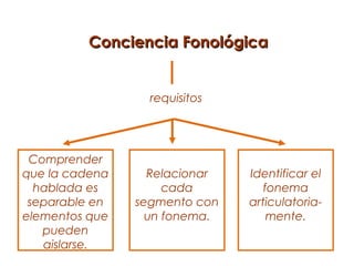 Conciencia Fonológica


                  requisitos




 Comprender
que la cadena     Relacionar   Identificar el
  hablada es         cada         fonema
 separable en   segmento con   articulatoria-
elementos que     un fonema.       mente.
   pueden
   aislarse.
 