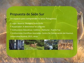Propuesta de Sede Sur Lugar: Reserva  Biológica Huilo-Huilo Auspiciador: A determinar en conjunto Instituciones Educativas: Valdivia – Neltume - Puerto Fuy Instituciones Científicas Asociadas: Centro De Conservación del Huemul, Universidad Austral, CECS, otros. Un espacio para comprender la Selva Patagónica 