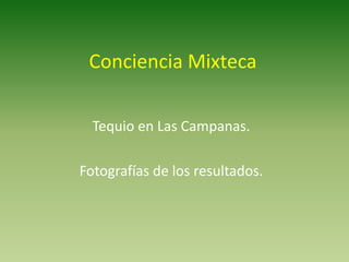 Conciencia Mixteca

  Tequio en Las Campanas.

Fotografías de los resultados.
 