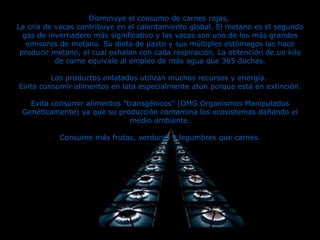 Disminuye el consumo de carnes rojas,  La cría de vacas contribuye en el calentamiento global. El metano es el segundo gas de invernadero más significativo y las vacas son uno de los más grandes emisores de metano. Su dieta de pasto y sus múltiples estómagos las hace producir metano, el cual exhalan con cada respiración. La obtención de un kilo de carne equivale al empleo de más agua que 365 duchas. Los productos enlatados utilizan muchos recursos y energía.  Evita consumir alimentos en lata especialmente atún porque está en extinción. Evita consumir alimentos "transgénicos" (OMG Organismos Manipulados Genéticamente) ya que su producción contamina los ecosistemas dañando el medio ambiente. Consume más frutas, verduras y legumbres que carnes. 