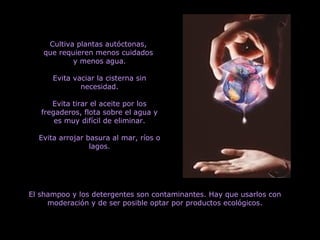 Cultiva plantas autóctonas,
que requieren menos cuidados
y menos agua.
Evita vaciar la cisterna sin
necesidad.
Evita tirar el aceite por los
fregaderos, flota sobre el agua y
es muy difícil de eliminar.
Evita arrojar basura al mar, ríos o
lagos.
El shampoo y los detergentes son contaminantes. Hay que usarlos con
moderación y de ser posible optar por productos ecológicos.
 