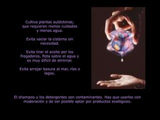 Cultiva plantas autóctonas,
que requieren menos cuidados
y menos agua.
Evita vaciar la cisterna sin
necesidad.
Evita tirar el aceite por los
fregaderos, flota sobre el agua y
es muy difícil de eliminar.
Evita arrojar basura al mar, ríos o
lagos.
El shampoo y los detergentes son contaminantes. Hay que usarlos con
moderación y de ser posible optar por productos ecológicos.
 