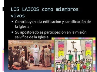 LOS LAICOS como miembros
vivos
 Contribuyen a la edificación y santificación de
la Iglesia.-
 Su apostolado es participación en la misión
salvífica de la Iglesia
 