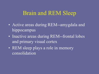 Brain and REM Sleep
• Active areas during REM--amygdala and
hippocampus
• Inactive areas during REM--frontal lobes
and primary visual cortex
• REM sleep plays a role in memory
consolidation
 