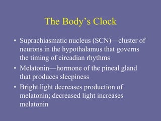 The Body’s Clock
• Suprachiasmatic nucleus (SCN)—cluster of
neurons in the hypothalamus that governs
the timing of circadian rhythms
• Melatonin—hormone of the pineal gland
that produces sleepiness
• Bright light decreases production of
melatonin; decreased light increases
melatonin
 