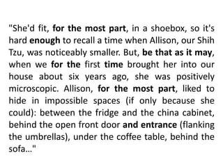 "She'd	fit,	for	the	most	part,	in	a	shoebox,	so	it's	
hard	enough	to	recall	a	time	when	Allison,	our	Shih	
Tzu,	was	noticeably	smaller.	But,	be	that	as	it	may,	
when	 we	 for	 the	 first	 time	 brought	 her	 into	 our	
house	 about	 six	 years	 ago,	 she	 was	 positively	
microscopic.	 Allison,	 for	 the	 most	 part,	 liked	 to	
hide	 in	 impossible	 spaces	 (if	 only	 because	 she	
could):	between	the	fridge	and	the	china	cabinet,	
behind	the	open	front	door	and	entrance	(flanking	
the	umbrellas),	under	the	coffee	table,	behind	the	
sofa…"
 