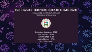 ESCUELA SUPERIOR POLITECNICA DE CHIMBORAZO
FACULTAD DE RECURSOS NATURALES
CARRERA DE AGRONOMIA
Cristopher Guaipacha - 6743...