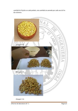 Informe de laboratorio N.° 1 Página 6
cantidad de frejoles en cada puñado, esta cantidad era anotada por cada uno de los
dos alumnos.
(Imagen 1.4)
(Imagen 1.5)
(Imagen 1.6)
 