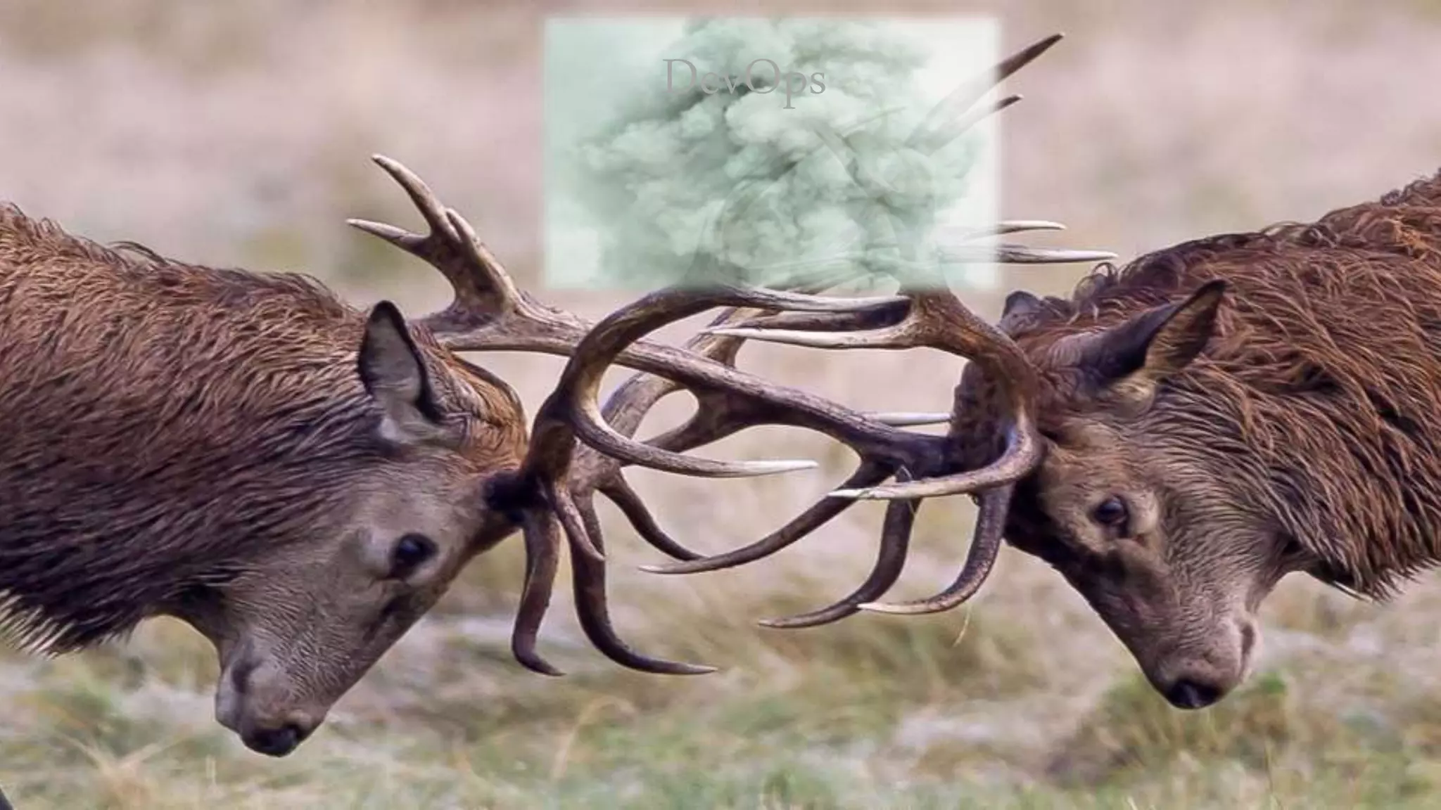 TechTalks 101 - DevOps 6
DevOps
 