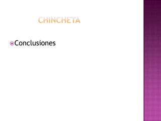  Conclusiones
 