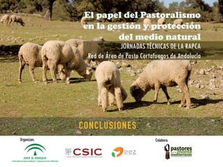 El papel del Pastoralismo
en la gestión y protección
del medio natural
JORNADAS TÉCNICAS DE LA RAPCA
Red de Área de Pasto Cortafuegos de Andalucía
CONCLUSIONES
Organizan: Colabora:
 
